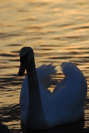 20100428 184506.jpg